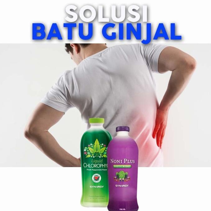 TERMURAH PAKET HERBAL Obat Alami Batu Ginjal (NoniPlus Chlorophyll Synergy) Asli