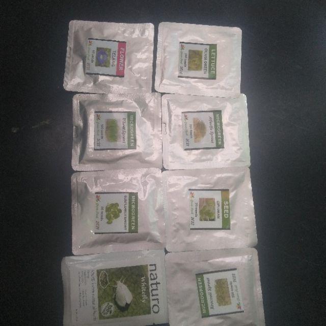 Benih Biji Ciplukan Pack - Gp