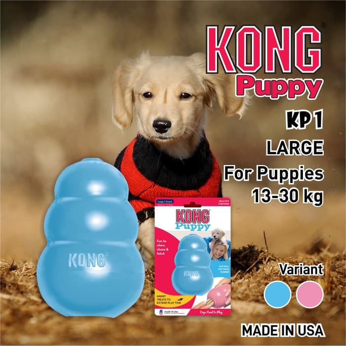 kong puppy s