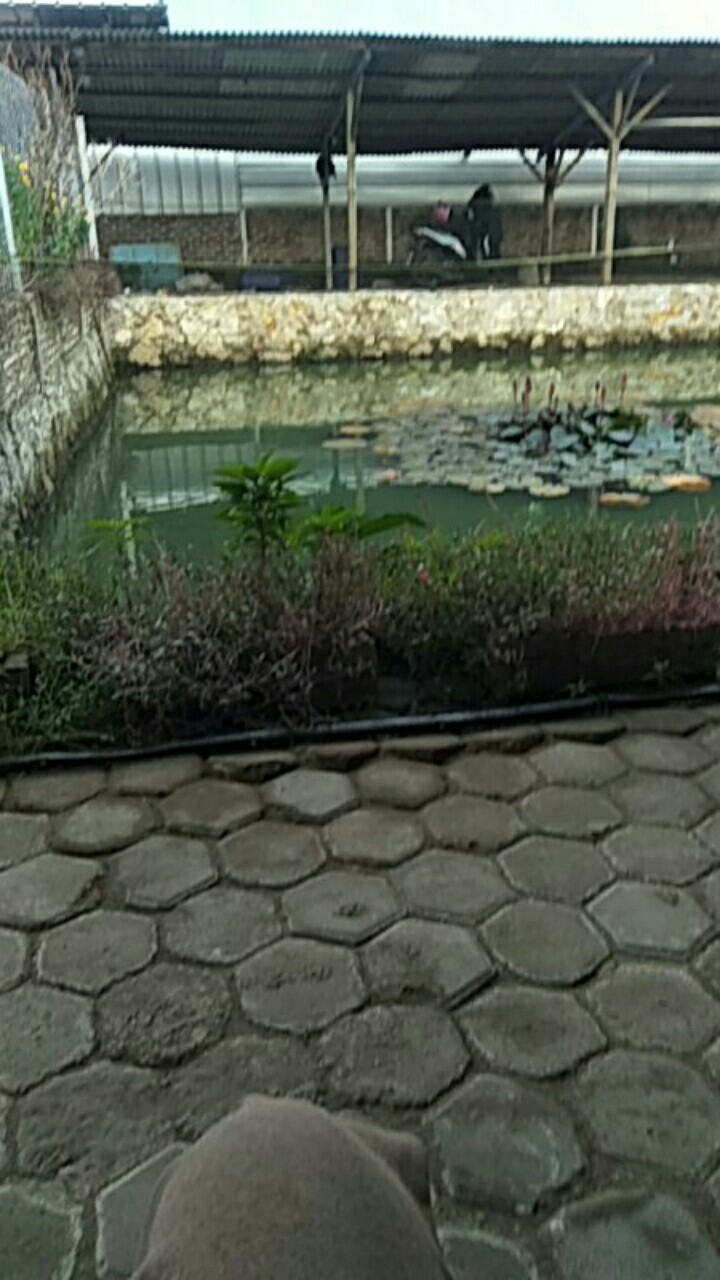 Meja Lipat Dinding Hpl 100 X 40 Cm