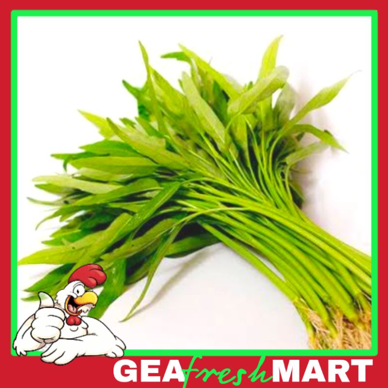

Kangkung darat 1 ikat