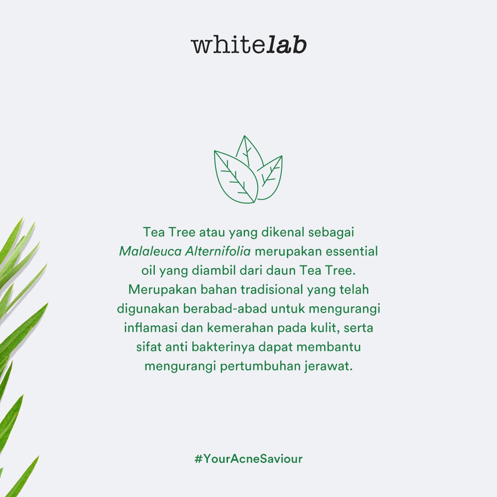 Whitelab Acne Cream White Lab Krim Jerawat