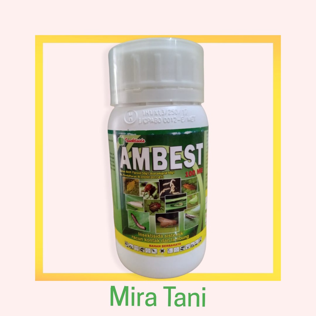 Ambest 100ME 250ml Insektisida
