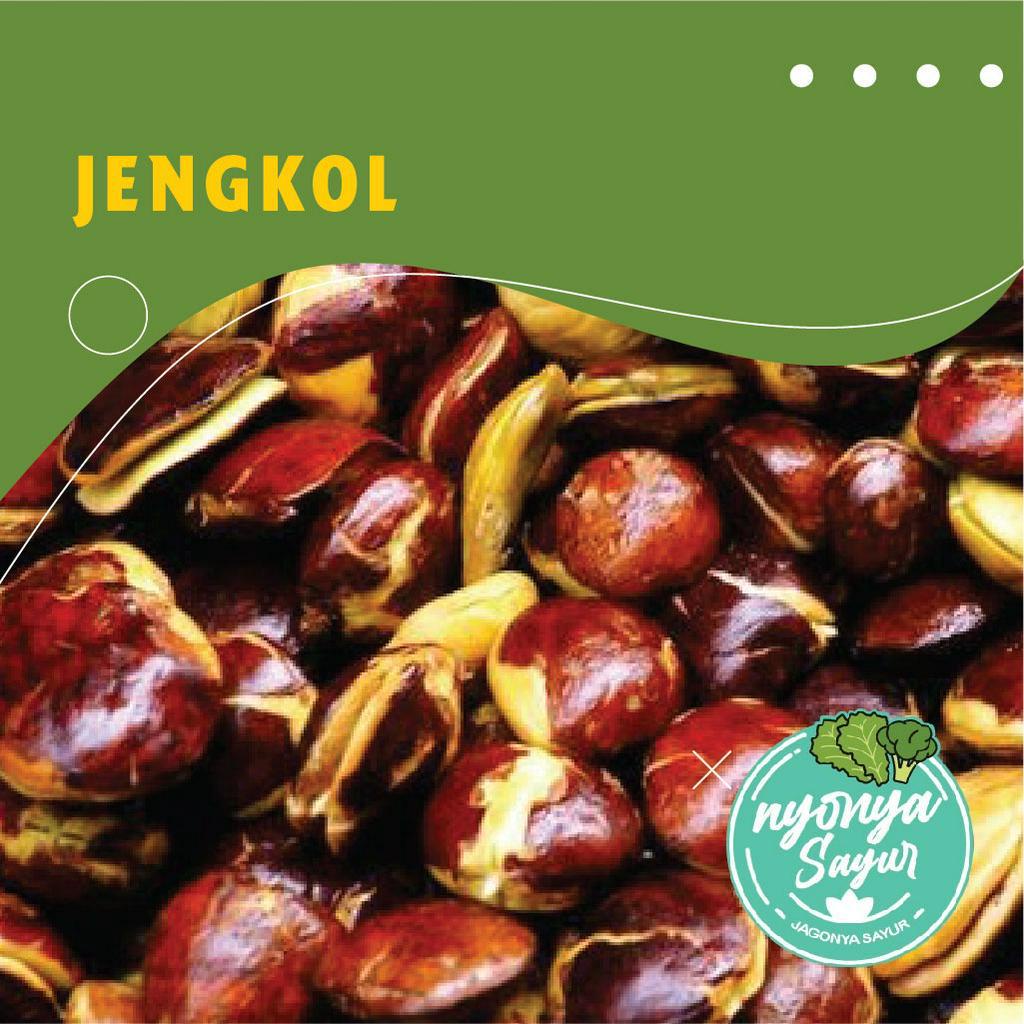 

Jengkol 200-250 gram