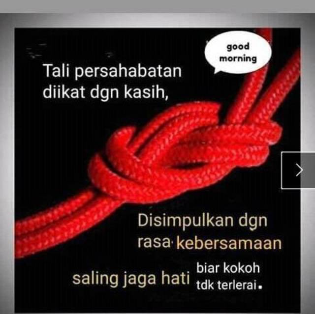 liebogest