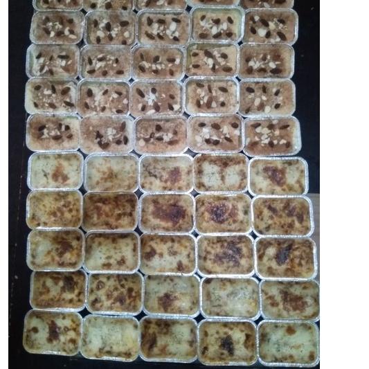 

Restock Lasagna frozen / fresh isi 2 cups, Macaroni schotel frozen/fresh, Spaghetti spaghetty brulee frozen/fresh,,klapetart
