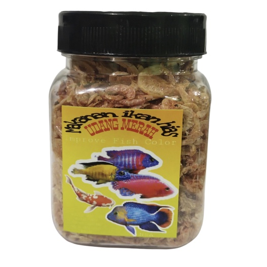Udang Kering Pakan Ikan Channa Maru Yellow Sentarum Auranti Limbata Pulchra Oscar Tiger Batik Albino