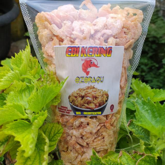 

Ebi Kering / Hebi / Asli Kalimantan Barat