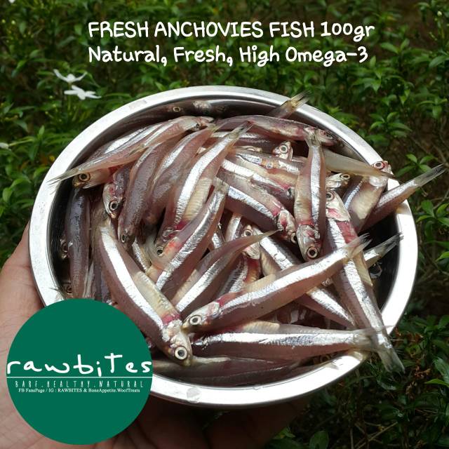 

FRESH ANCHOVIES 100gr