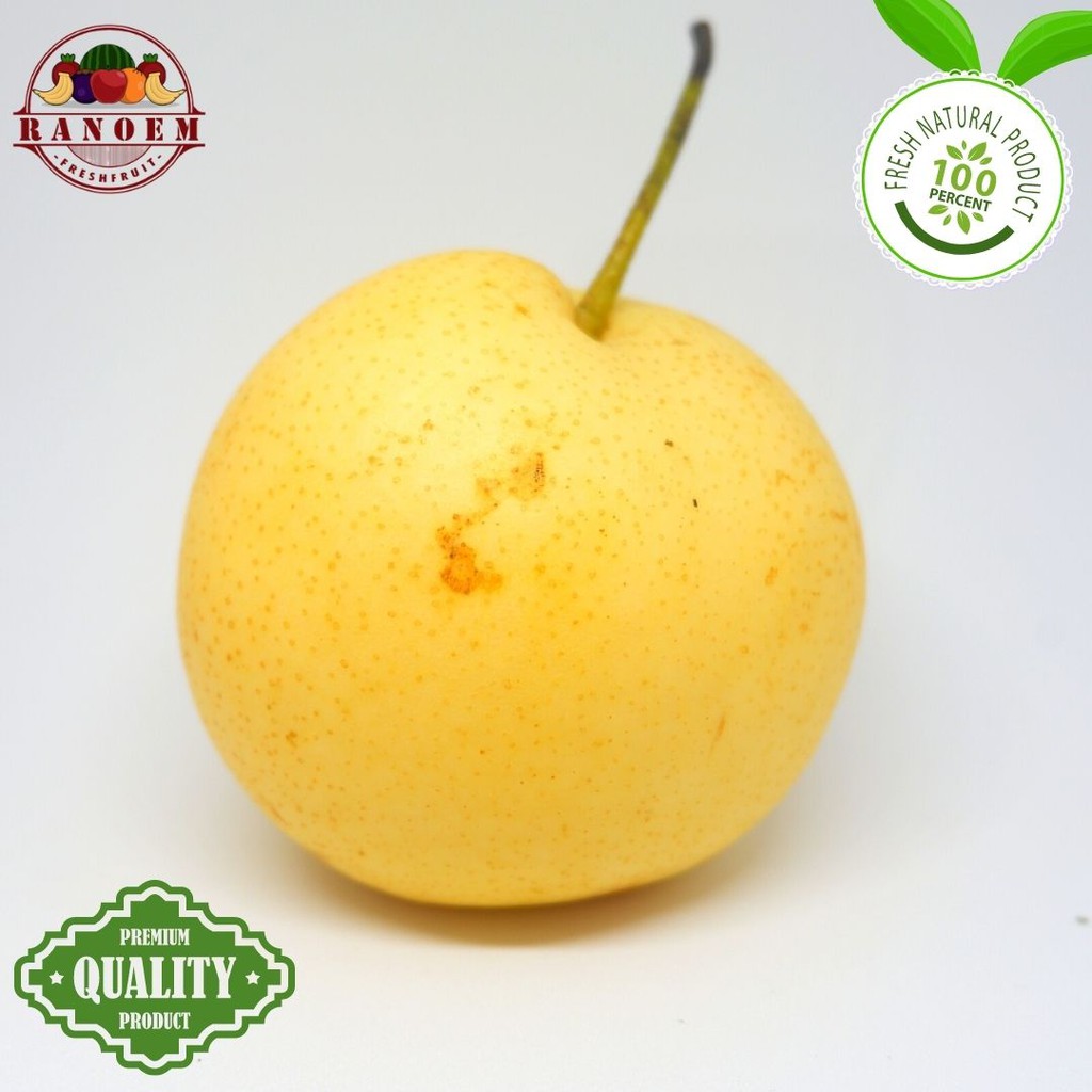 

Buah Pear Century Import / 1 Kg