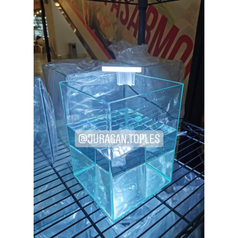 lampu ikan cupang/ ikan lain