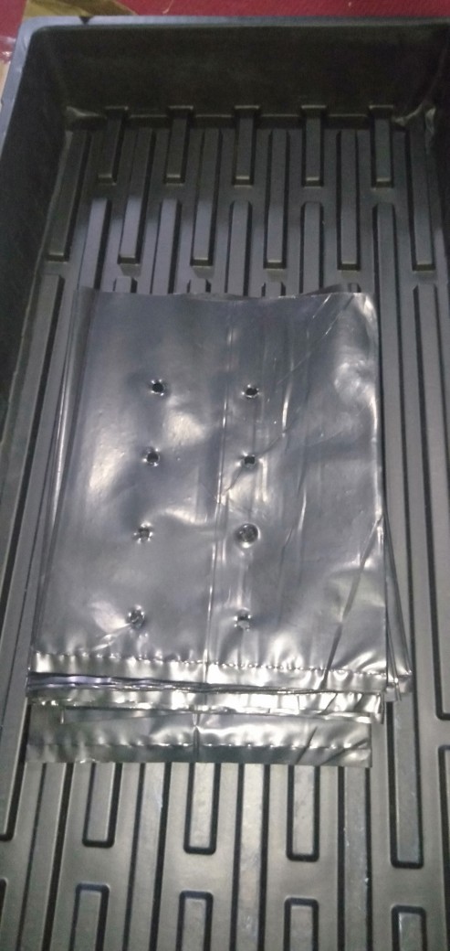 Paket 2pcs Nampan Alas Tray + 2pcs Tray Semai 200 Lubang