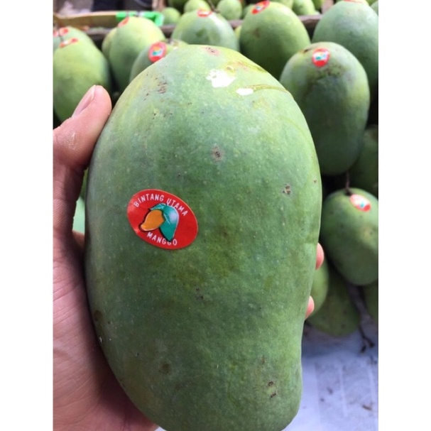 

Mangga Harum Manis Masak (5 KG) Fresh
