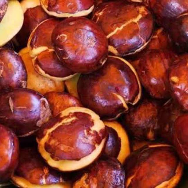 

Jengkol