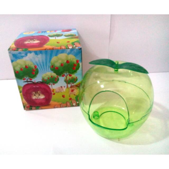 Tempat mandi hamster apple