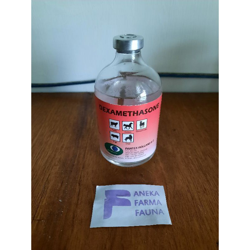Dexamethasone Pantex Holland 100ml injeksi