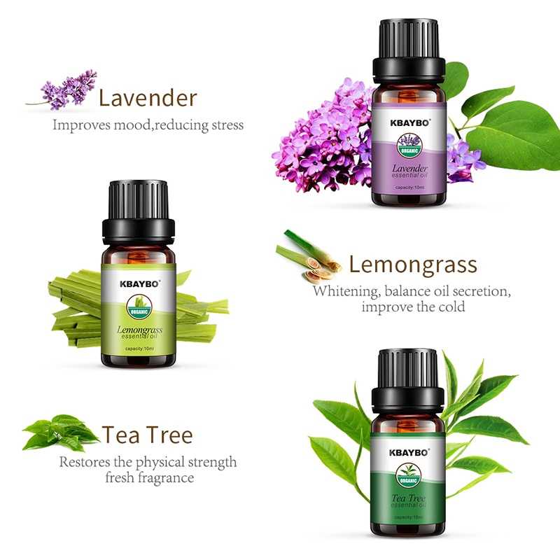 Taffware HUMI Pure Essential Oils Minyak Aromatherapy 10ml 6PCS