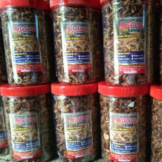 

Belalang walang utis(kecil) 200 gram 1pcs 55.000