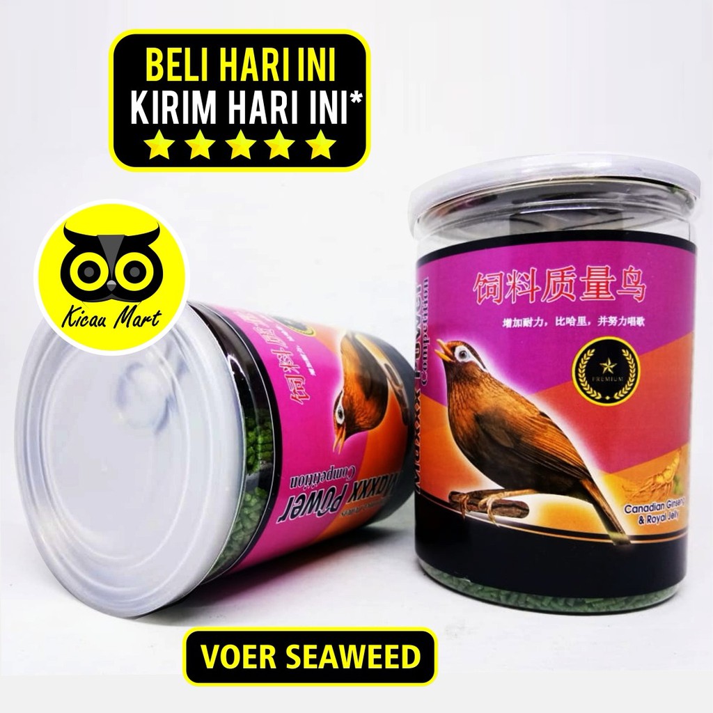 PAKAN MAXXX POWER COMPETITION SEAWEED VIOLET VOER HIJAU RUMPUT LAUT MAKANAN BURUNG MURAI ANIS MAXSWV