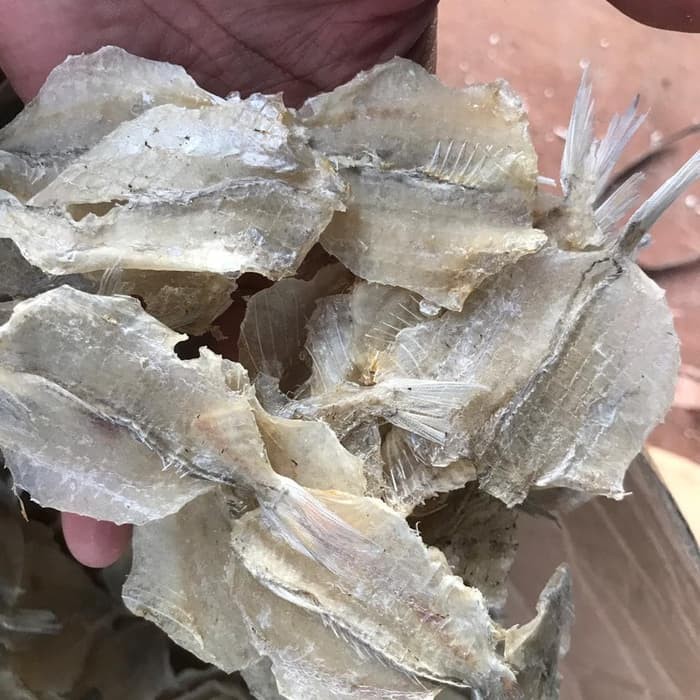 

ikan pakang tawar