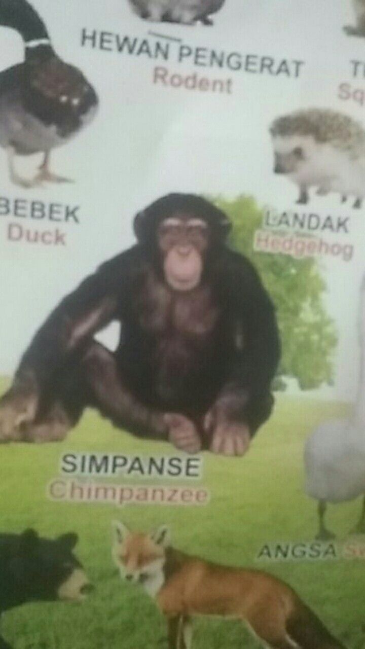 Couple Gamis Kombinasi Gamis Mewah Kualitas Oke Gamis Couple Batiktradisional Batik Sayfuul Fhasion