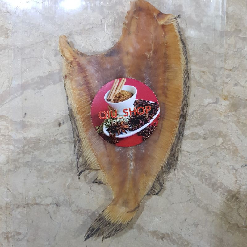 

Pihi , Ikan Sebelah Kering