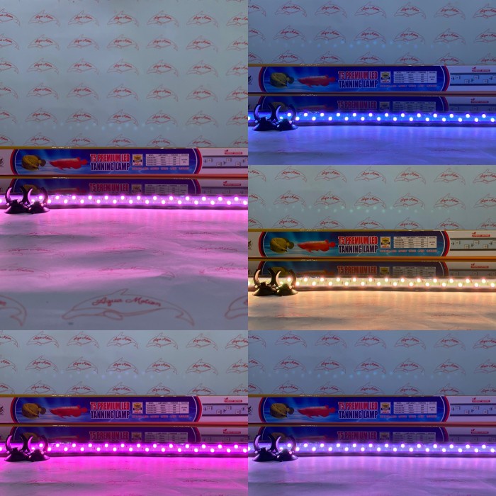 Lampu LED TANNING Aquarium Aquascape Arwana SAKKAI PRO T5 600 Double