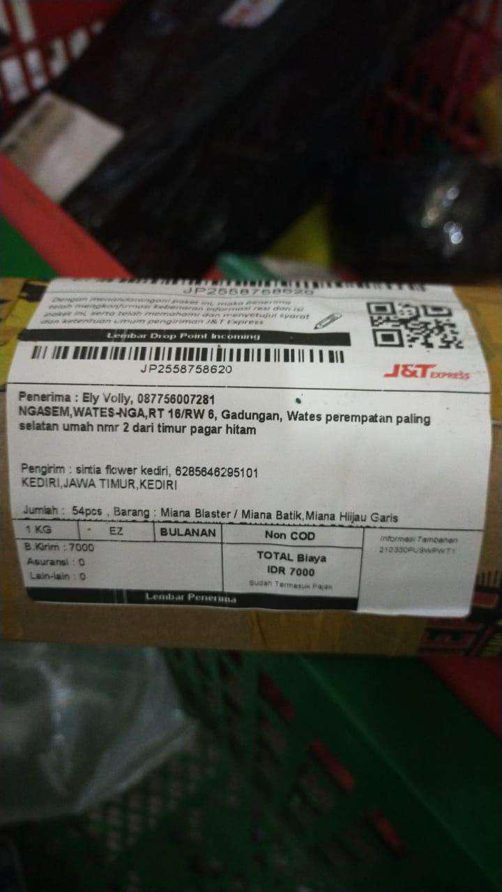 Miana Blaster / Miana Batik