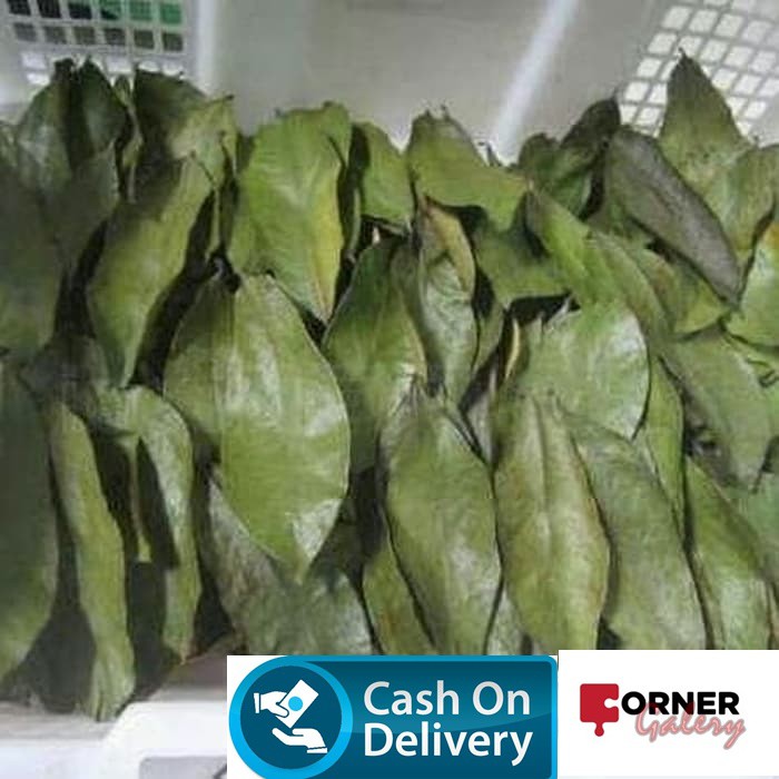 

DAUN SIRSAT KERING / DAUN SIRSAK KERING