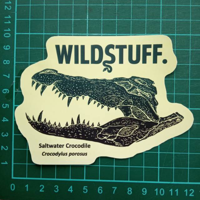 Sticker Wildstuff - Crocodilus porosus skull saltwater crocodile
