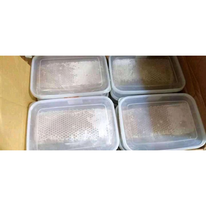 

madu asli petani
