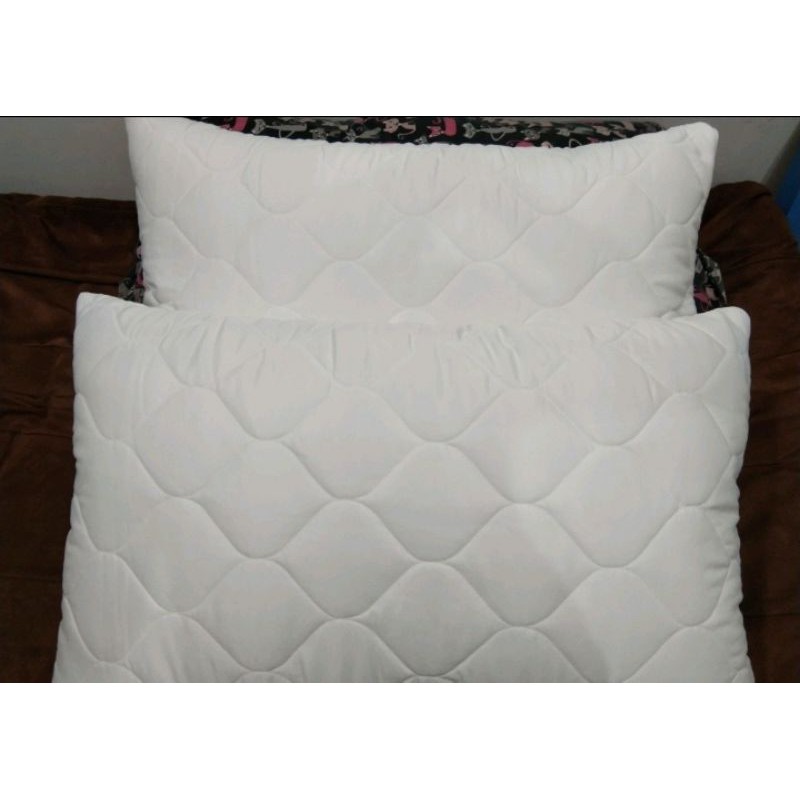pillow protector ex hotel