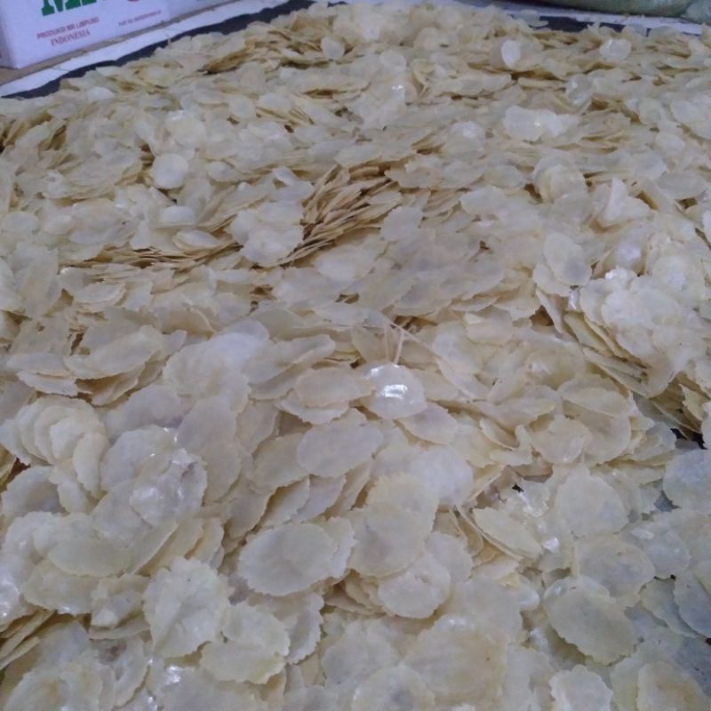 

Sekar_Shop07 Harga Emping Melinjo Mentah/Super Tipis/ Kemasan 1 Kg/High Quality/Asli Limpung