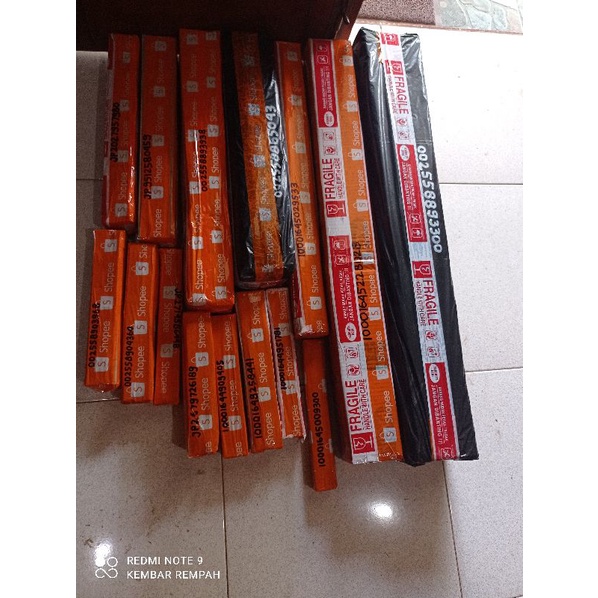 BIBIT TANAMAN HERBAL KENCUR(CIKUR)-5