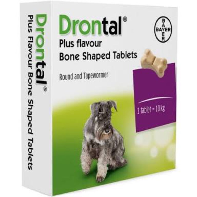 Drontal plus obat cacing anjing