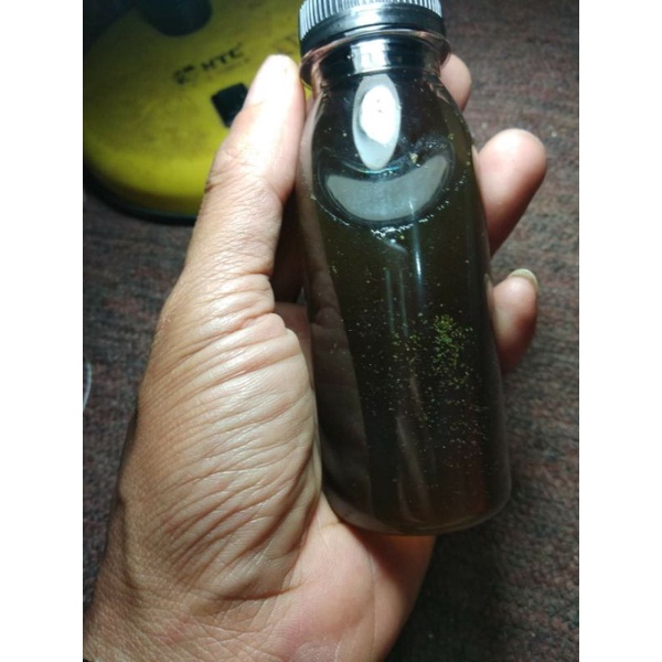 

biang garam Ruqyah natural Bidara Kelor