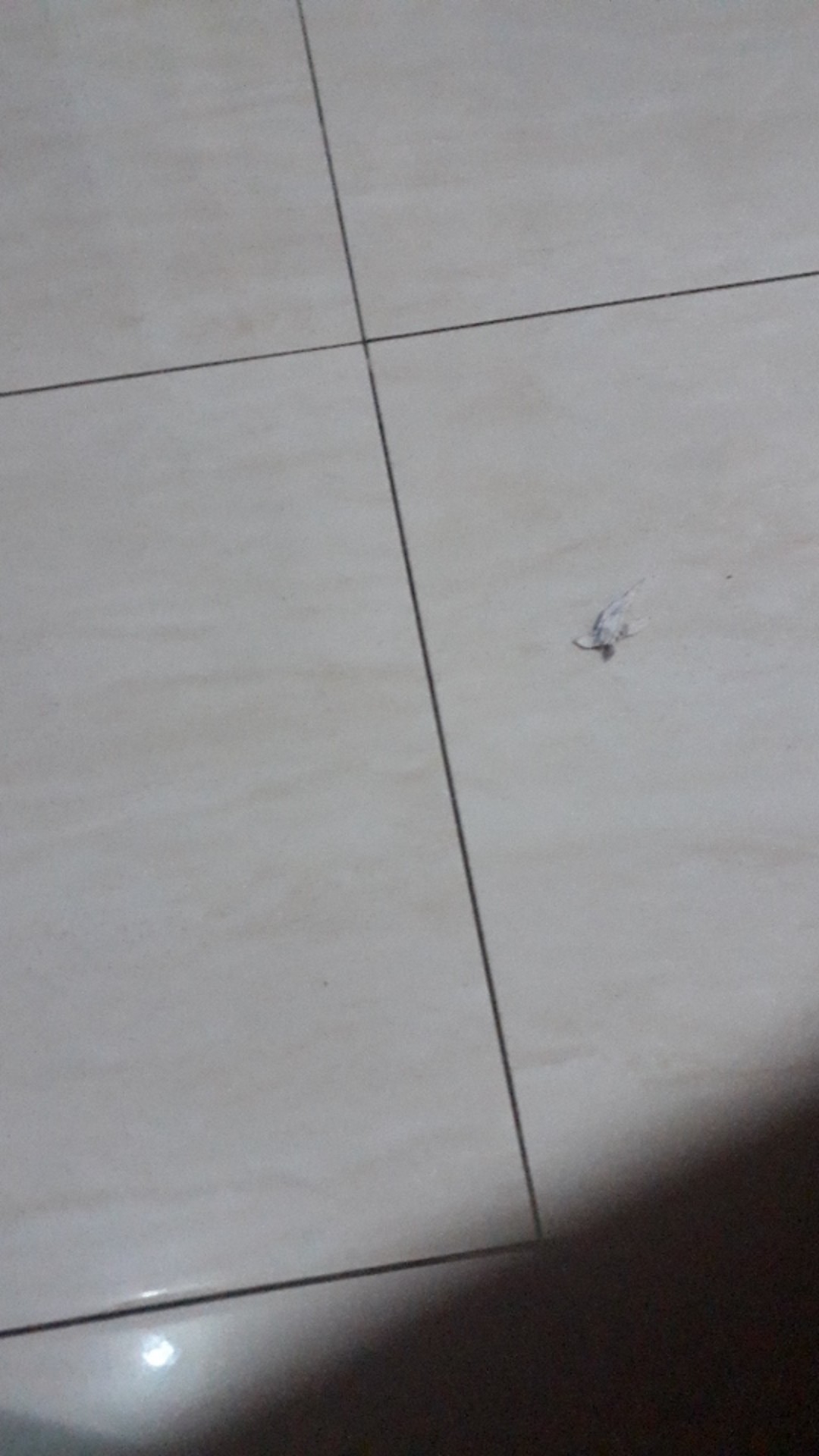 Sriwedari Gamis Batik Modern Standar_jumbo Busui Friendly Resleting Depan