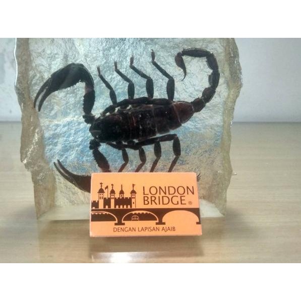 ◄ Silet London Bridge (100 pcs) ✈