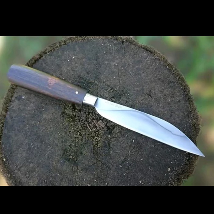 pisau serbaguna hunting dapur berburu congkel durian tebal snt393
