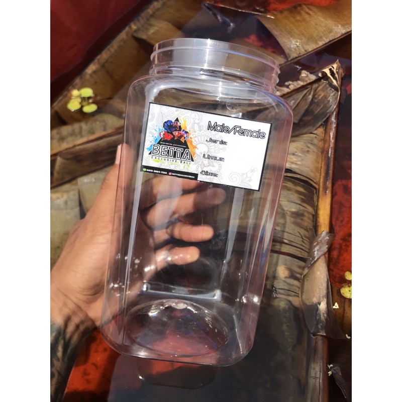 TOPLES CUPANG | TOPLES 2 LITER