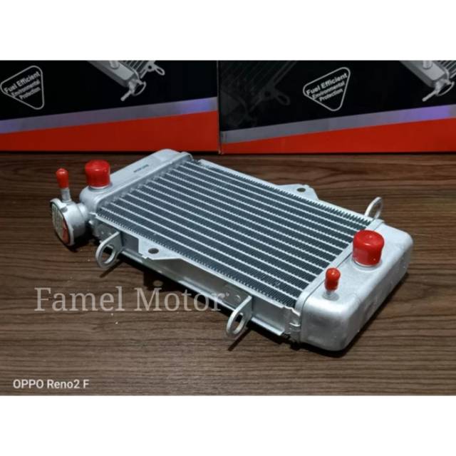 RADIATOR VIXION OLD LAMA