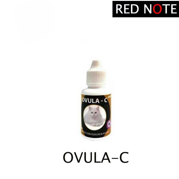 Obat OVULA C DROP Obat Birahi Kucing