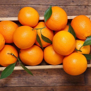 

BUAH JERUK MANDARIN PHOENIX