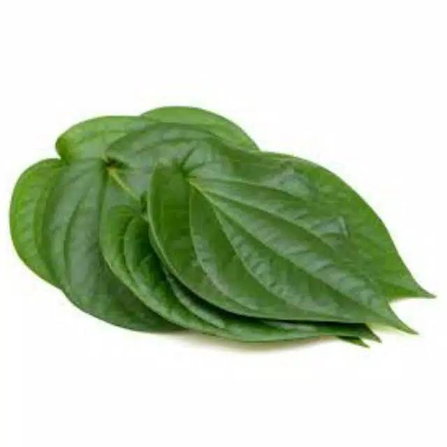 

Sirih hijau 100gram