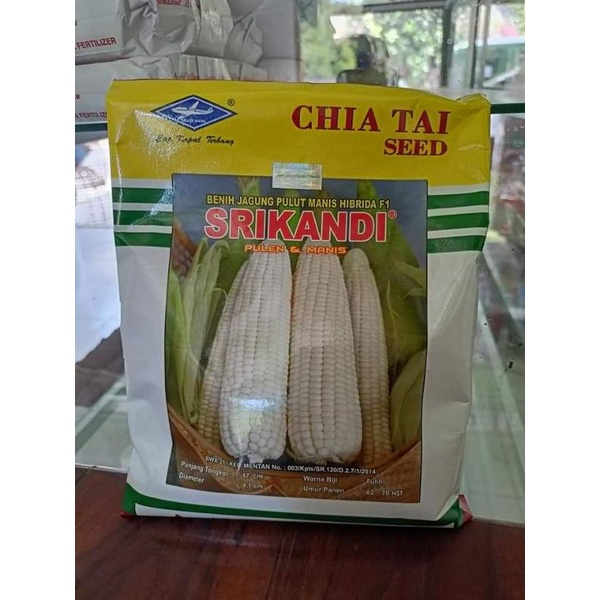 Benih jagung ketan srikandi PT BISI International tbk