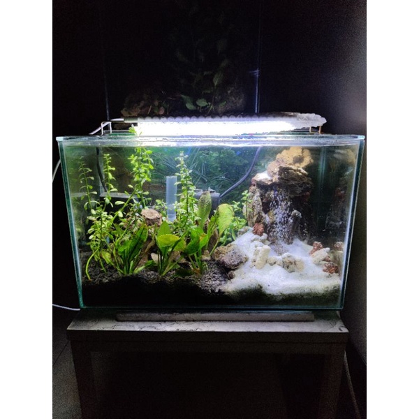 Aquarium Full Set Aquascape 40H