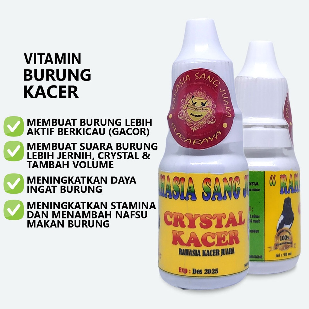 CRYSTAL KACER | VITAMIN BURUNG KACER GACOR NGOBRA BIAR CEPAT GACOR