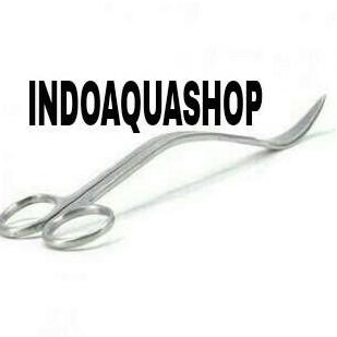 

HARGA SPESIAL Wave Scissors Plant - Gunting Ombak