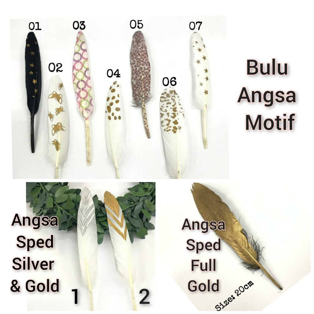 1 BUAH - BULU AYAM | BULU ANGSA| BULU M | BULU TUING | BULU BIYOT