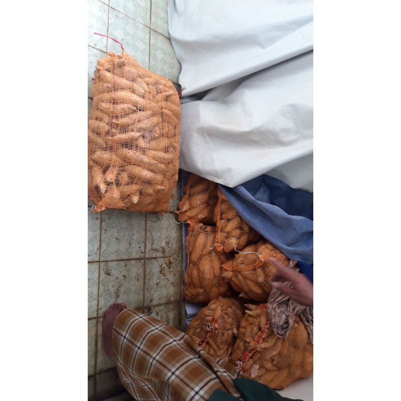 

UBI CILEMBU MENTAH PER 1KG